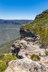 Walls Lookout, a panoramic view of the Blue Mountains National Park in New South Wales, Australia, featuring a lush valley, rugged cliffs, and a clear blue sky.