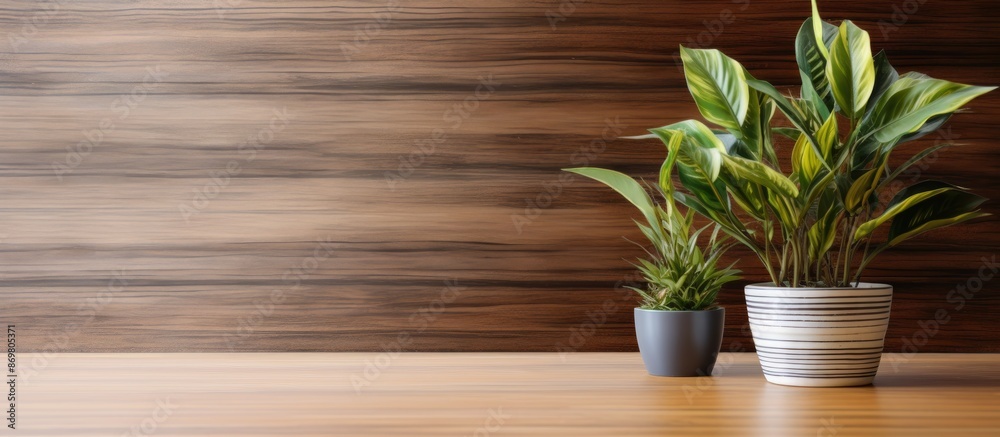 Leinwandbilder wooden office desk with a coffee mug and a houseplant seen from the front, creating a workspace with