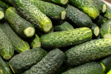 Closeup view of a pile of cucumbers	