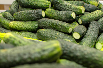 Closeup view of a pile of cucumbers	