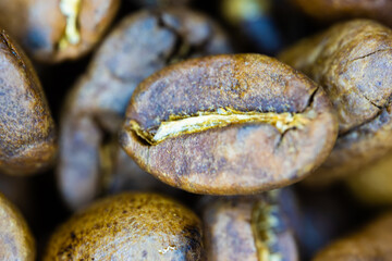 Detailed close-up image of a roasted coffee bean.