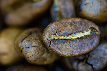 Detailed close-up image of a roasted coffee bean.