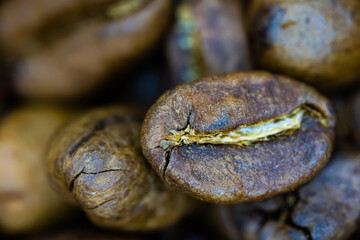 Intricate details of a roasted coffee bean