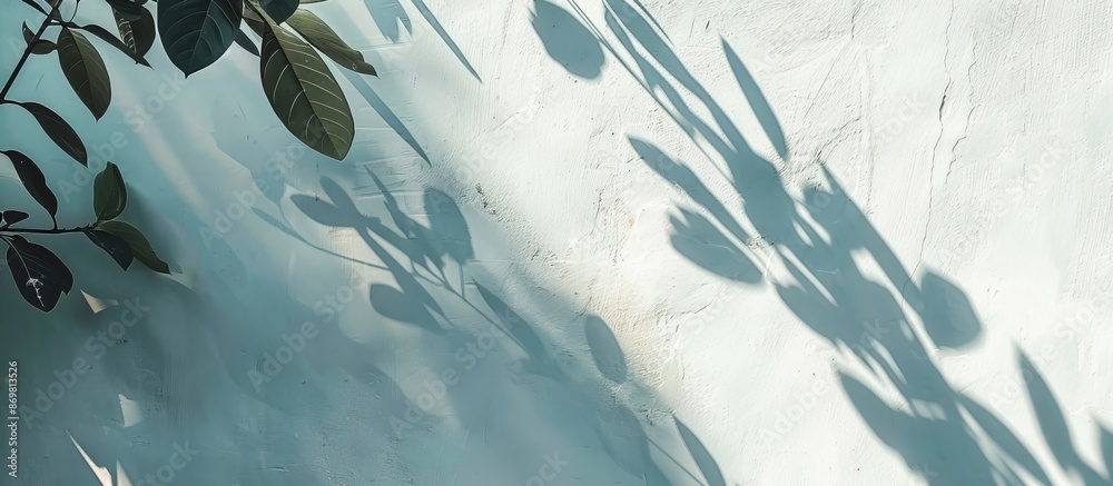 Poster Minimalist style background created by leaf shadows on house walls with copy space image.