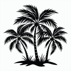 Fototapeta premium Coastal Evening Palm Silhouette Palm tree
