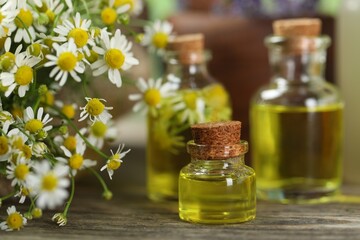 Beautiful chamomile flowers and bottles of essential oils on wooden table, closeup