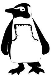 Reino animal ave marina no voladora Pingüino de Humboldt