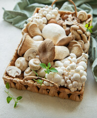 Assortment of various raw mushrooms