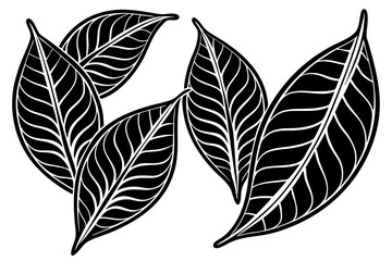 Hibiscus Leaf Outline vector