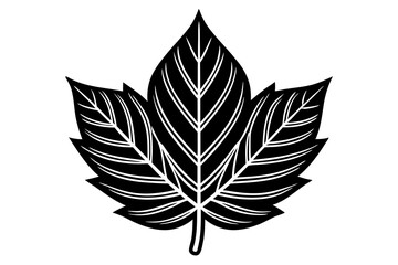 Hibiscus Leaf Outline vector