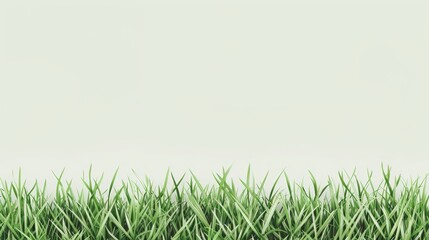 Fototapeta premium Lush green grass meadow background, banner design