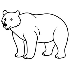 illustration of a bear