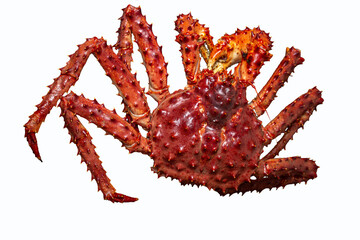 Alaskian king crab isolated on a white background, top view
