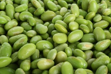 Raw green edamame soybeans as background, closeup