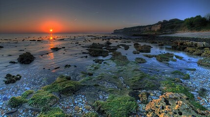   The sun is setting over the ocean with mossy rocks in the foreground