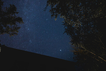 Stars over Wisconsin Forest Dark Sky Driftless Region