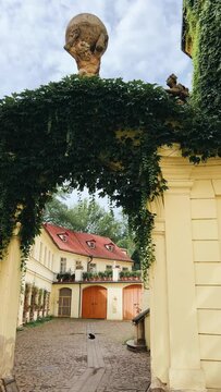 Black cat at the entrance to Vrtbovska Park in Prague