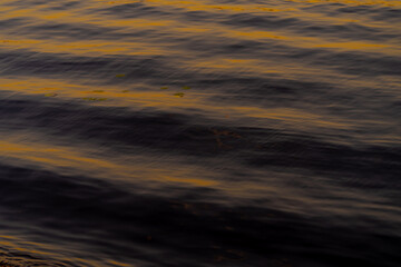 The reflection of golden colors on the surface of the water in the evening sun