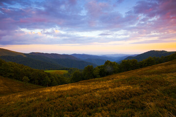 Naklejka premium panoramic summer foggy scenery, scenic sunrise morning view in Carpathian mountains, Ukraine, Europe 