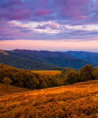 panoramic summer foggy scenery, scenic sunrise morning view in Carpathian mountains, Ukraine, Europe	