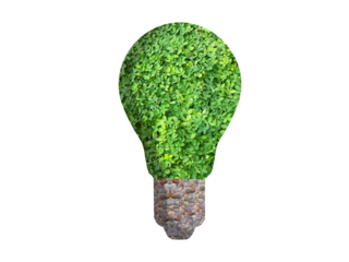 bulb made from green grass or leaves, as a illustration process finding good idea that environment friendly, go green concept, 