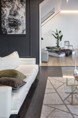 minimalistic stylish interior of luxury apartment with white stylish bedroom and dark living room. modern apartments with an open layout during the day without people and amazing sun rays