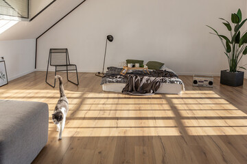 minimalist stylish interior of white simple bedroom with window in ceiling and sun rays without people