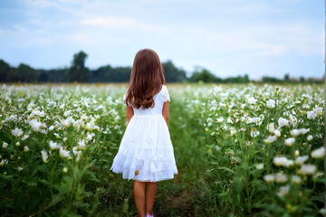 A young girl is walking through a field of white flowers