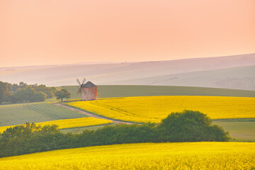 Old windmill in blooming Spring landscape with rolling hills. Yellow colza canola fields in sunset light. Kunkovice, Moravia, Czech