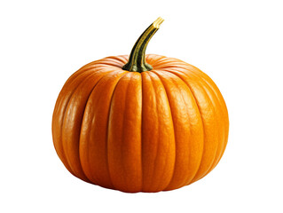 pumpkin isolated object