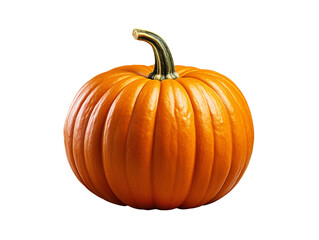 pumpkin isolated object