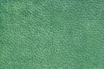 Velours green fabric with with embossed pattern like leather structure texture close up, macro
