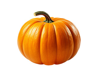 pumpkin isolated object