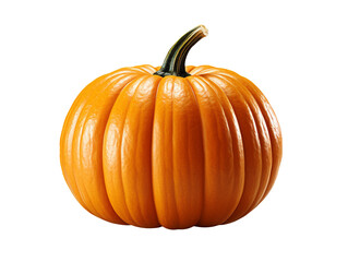 Obraz premium pumpkin isolated object