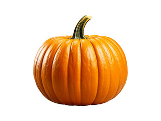 pumpkin isolated object