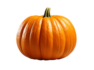 pumpkin isolated object