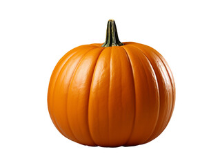Obraz premium pumpkin isolated object