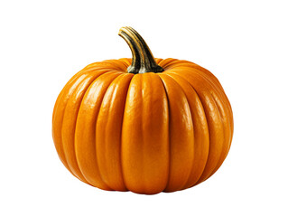 Obraz premium pumpkin isolated object
