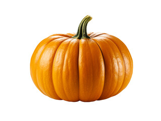 Obraz premium pumpkin isolated object