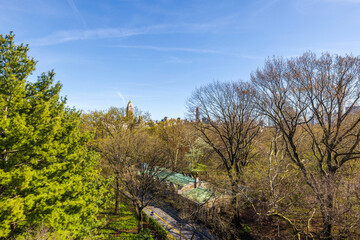 Stunning top view of Central Park's treetops in Manhattan with skyscrapers in background. New York. USA.