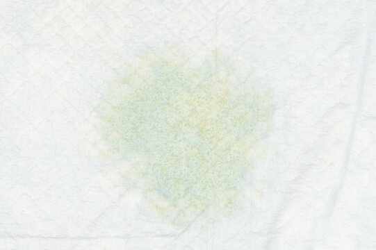 Yellow pee spot on carpet
