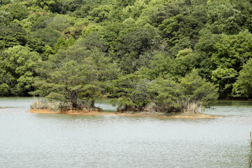 篠栗九大の森：快晴の日の散歩