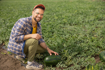 a farmer is picking watermelons in the field