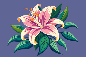 lily floral wale vector art illustration