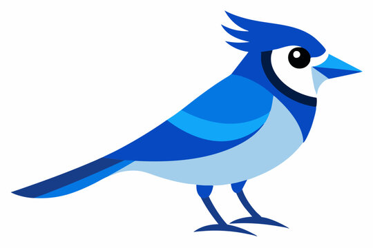 recommend clip art: vector art a blue jay illustration