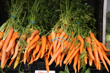 bunches of carrots