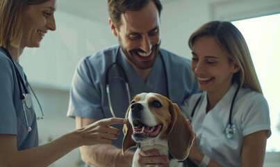 Happy veterinarians with dog during check-up at animal clinic