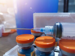 Mixing chicken vaccine medication with solvent, the process of making a dose of chicken vaccine...