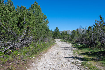 Landscape of Rila mountain near Granchar Lake, Bulgaria