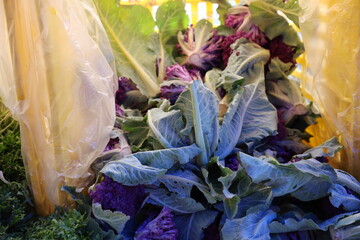 purple cauliflower 